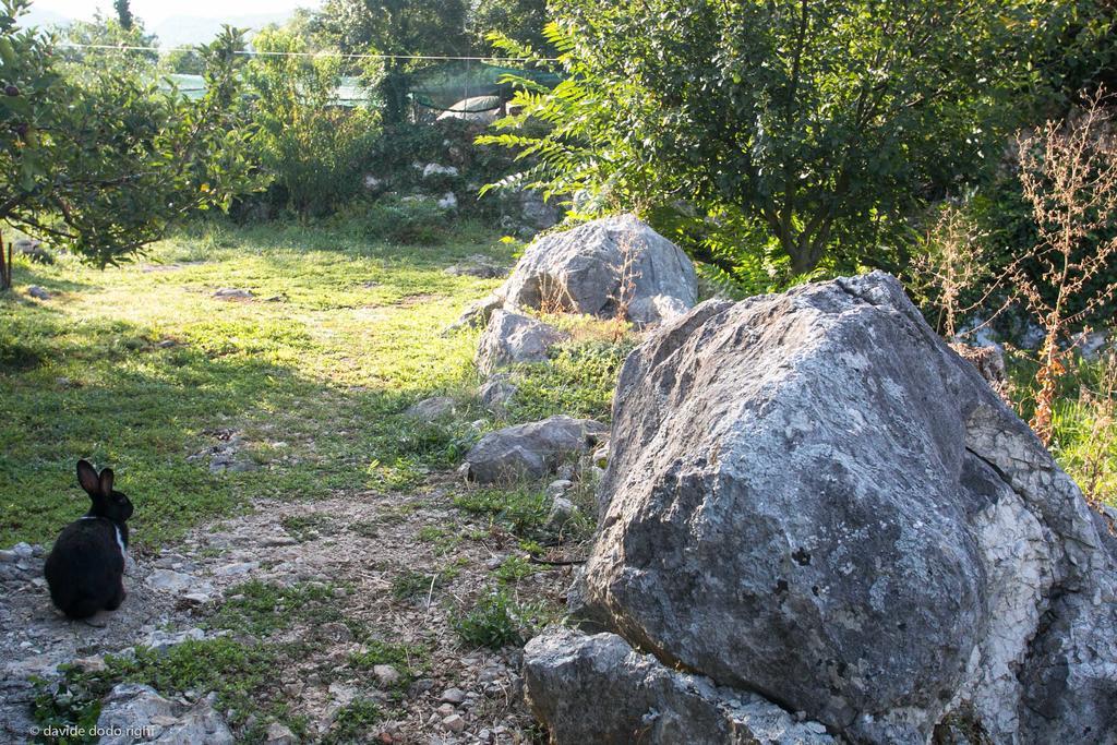 Agrotourism Matusko Affittacamere Neum Esterno foto